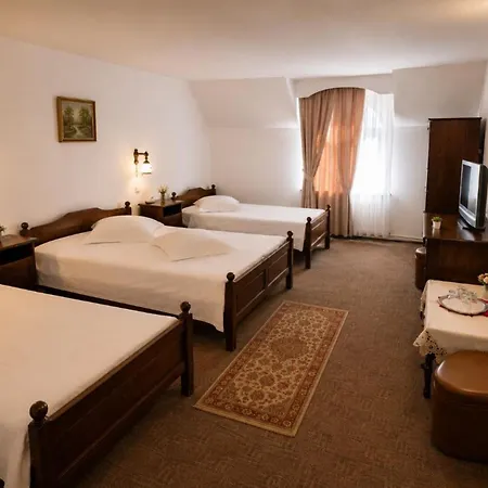 Millenium Castle Sibiu - Parking On Site - Bikers' Haven In The Heart Of Romania'S Legendary Roads - Rest In Comfort #-2